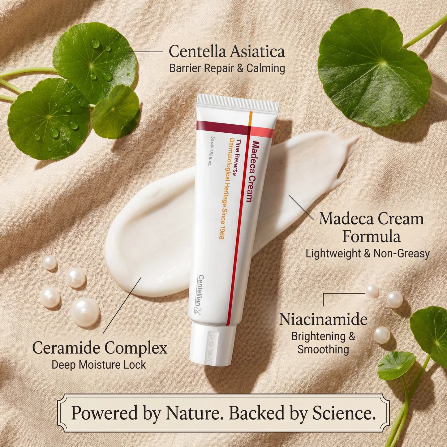 Madeca Anti-Aging Cream — Skin Barrier Repair & Calming Moisturizer